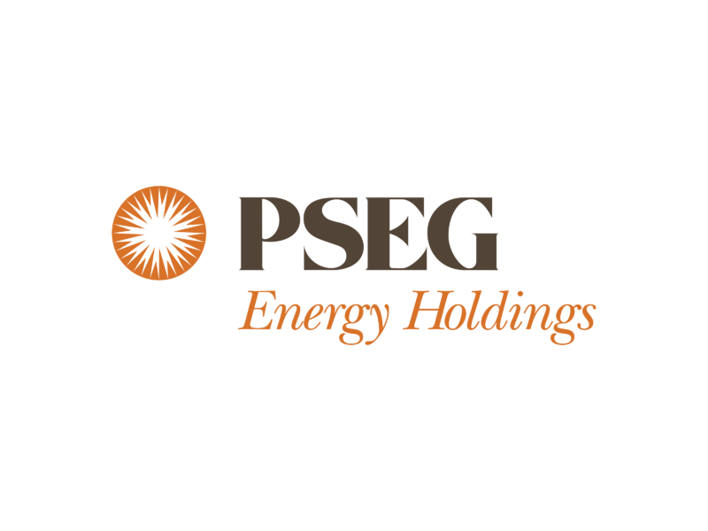 PSEG Energy Holdings logo